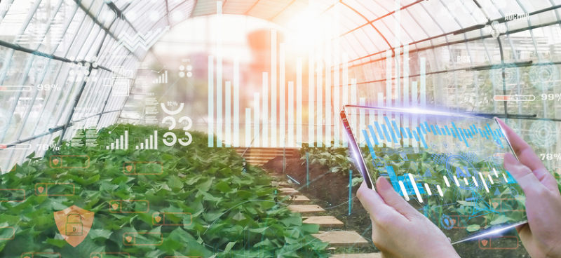 Kenapa Petani Harus Go Digital